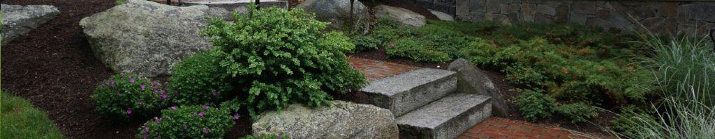 About North Shore Landscaping Professionals